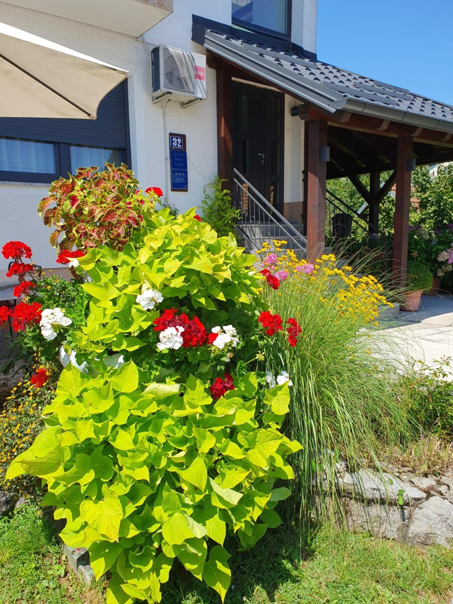 סלוניי Guesthouse Vila מראה חיצוני תמונה