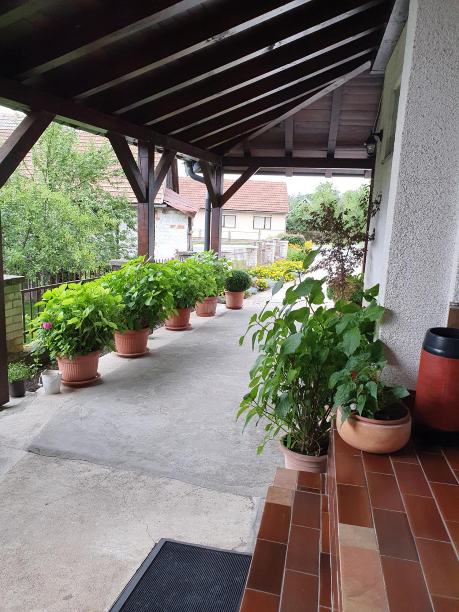 סלוניי Guesthouse Vila מראה חיצוני תמונה